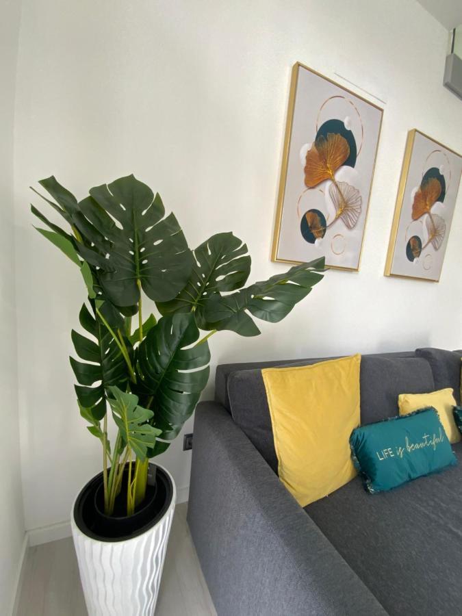 Luxury Loft Apartment Ribeira Grande Eksteriør billede